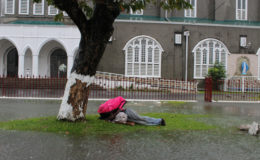 A homeless man armed with an umbrella sheltering under a tree on this islet on Brickdam 