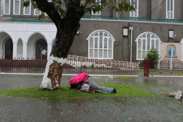 A homeless man armed with an umbrella sheltering under a tree on this islet on Brickdam 