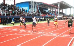  President of the Athletics Association of Guyana Aubrey Hutson is not in favour of the government’s decision to build synthetic tracks such as the one above in regions 2,4, 6 and 10.
