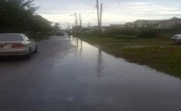 A section of Trench Road, Albouystown yesterday