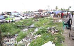 Smelly and unsightly garbage at Mon Repos Market, East Coast Demerara on Saturday where vendors and shoppers alike appeared oblivious to the stench and possible health effects. (Photo by Keno George)