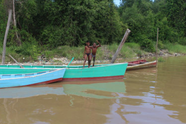 Taking a plunge into the Demerara River
