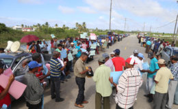 A section of the crowd of protesting farmers that gathered at Onverwagt, West Coast Berbice yesterday. (Photo by Keno George)
