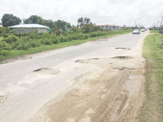 Large potholes taking up more than half of the road on Agriculture Road, Mon Repos, East Coast Demerara. 