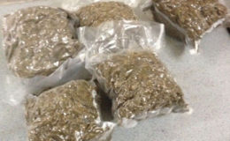 The cannabis which was found on Saturday