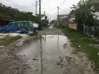 One of the large potholes filled with water. 