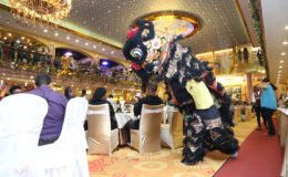 The Chinese Dragon Dancer entertaining guests at the opening of the “new” New Thriving Restaurant at the Amazonia Mall last evening.  (Photo by Keno George) 