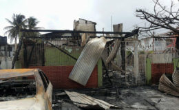-The house where the fire started was burnt to ashes.
