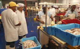 The Ambassador looks on as fish is being processed