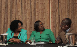 From left are Minister of Public Health, Volda Lawrence, Minister in the Ministry of Public Health, Dr Karen Cummings and PAHO/WHO Representative Dr William Adu-Krow (Ministry of Public Health photo)