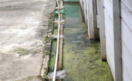 Plastic bottles were used to prop up this pipe in the front of the yard so that it would remain above the floodwater.