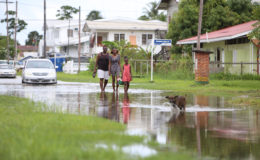 It is nothing unusual for these residents of North Ruimveldt to navigate their way through a flooded street after rainfall. 