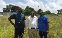 Three of the alumni who contributed to the clearing of part of the Queen’s College field on April 13. From left are Dr Nicholas Waldron, Dr Terrence Blackman and Chris Wilson.