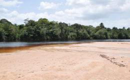 The extended bank of the Demerara River with sediments that brought from floodwaters    (GINA photo)