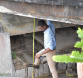An Engineer from the Ministry of Public Infrastructure examining the Bridge at Coomacka which they have said is on the verge of collapsing due to erosion.. (Ministry of the Presidency photo)