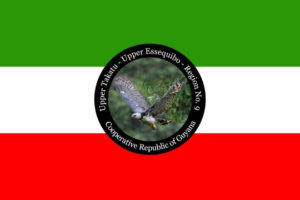 The proposed flag of Region 9. The background is divided into equal parts of green, white and red which  represent forest wealth, water resources and the zeal of the people respectively. While the crest features the Harpy Eagle in flight  