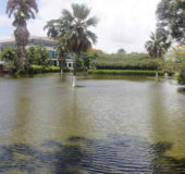 Heavy rainfall left the Promenade Gardens sporting approximately six inches of floodwater on Saturday. (Keno George photo)