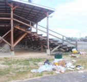 The garbage covering a section of the D’Urban Park. (Stabroek News file photo/Keno George)