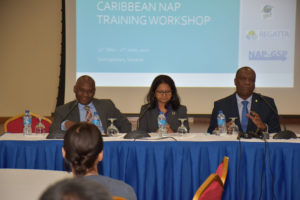 From left: Head of Caribbean Sub Regional Office of the United Nations Environment Programme, Vincent Sweeney, Shabnam Mallick, Deputy Resident Representative, UNDP Guyana and Minister of State,  Joseph Harmon 