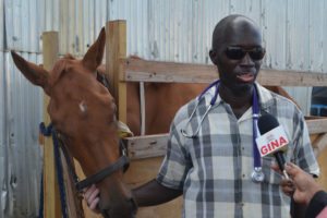 Dr. Dwight Walrond, Deputy Chief Executive Officer of the Guyana Livestock Development Authority  with the horse that was illegally imported. (DPI/GINA photo)