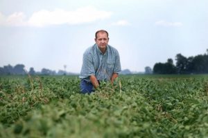 John Weiss looks over his crop of soybeans, which he had reported to the state board for showing signs of damage due to the drifting of Monsanto’s pesticide Dicamba, at his farm in Dell, Arkansas, U.S. July 25, 2017. (Reuters photo)