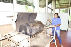 Sonia Sears, Chairperson of the Aranaputa Processors Friendly Facility demonstrating some of the equipment. (DPI photo)
