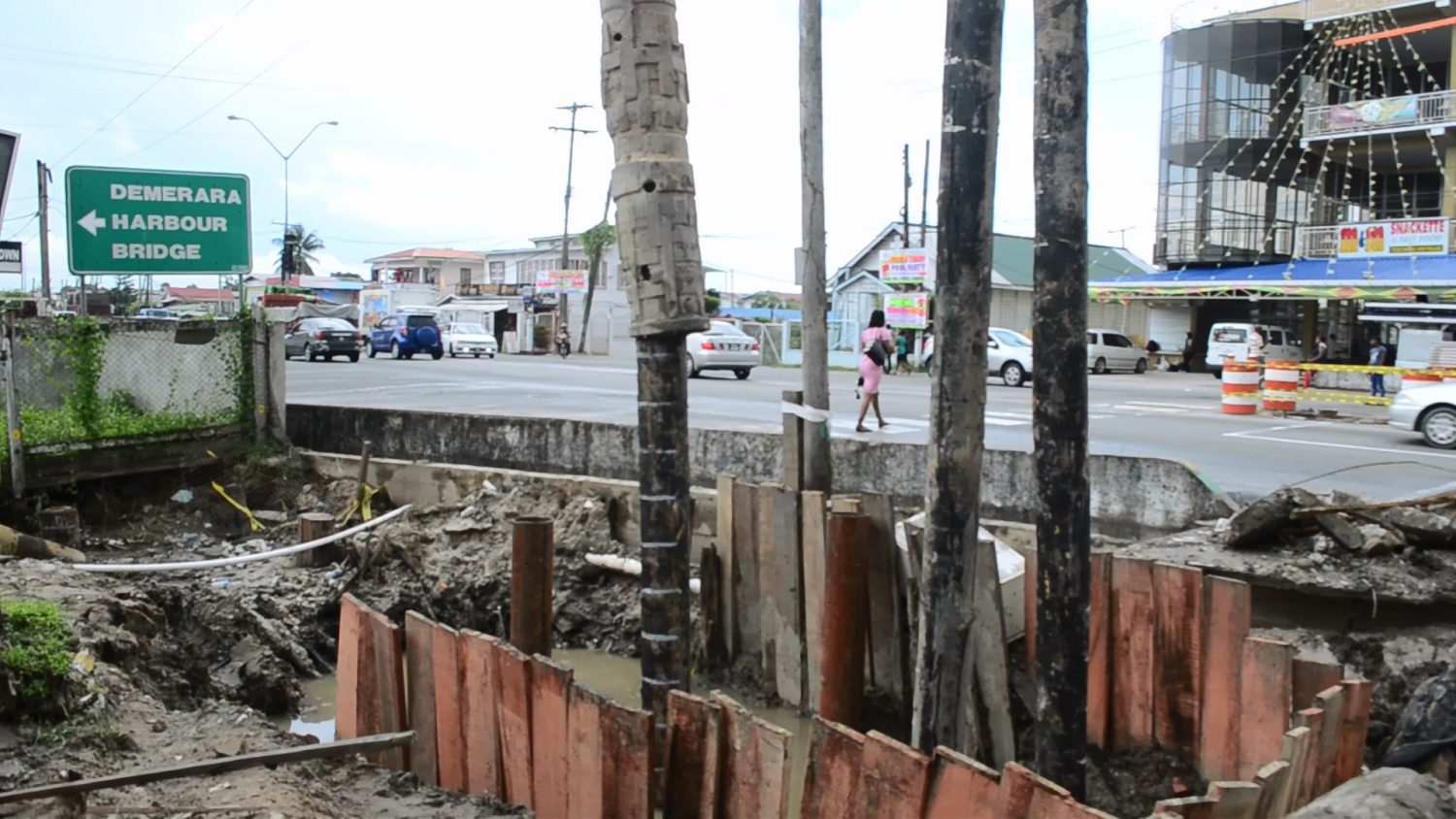 Driven piles at Peter’s Hall near the Demerara Harbour Bridge (DPI photo)
