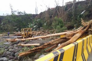 Hurricane damage in Dominica (Antigua and Barbuda Broadcasting Service Television/Radio)