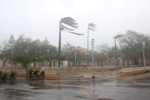 Trees sway in the wind at the main square as Hurricane Irma passes by Remedios, Cuba September 8, 2017. REUTERS/Alexandre Meneghini
