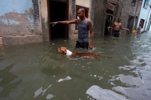 Cuba says Hurricane Irma killed at least 10 people. A man gestures to his dog on a flooded street, after the passing of Hurricane Irma in Havana (Reuters photo)