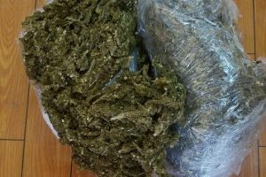 The cannabis that was found in the boat operator’s haversack