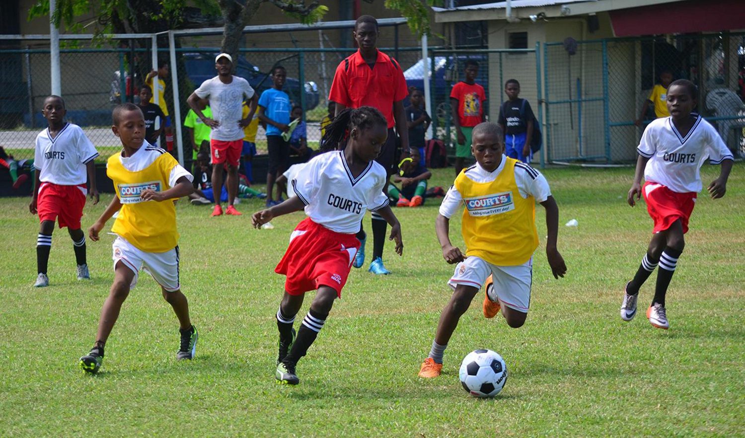 Players from Sophia (yellow) and two- time defending champion St. Angela’s battling for possession in the Courts Pee Wee Football Championship at the Thirst Park venue yesterday. (Orlando Vharles photo)
