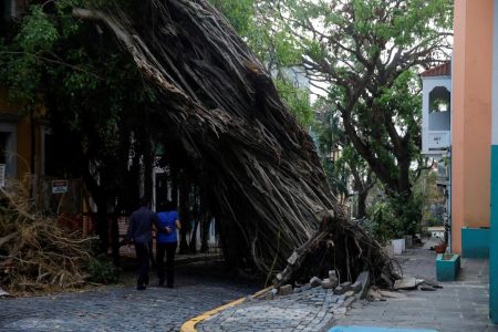 A couple walks by a damaged tree in the Hurricane Maria affected area of Old San Juan, Puerto Rico, October 12, 2017. REUTERS/Shannon Stapleton