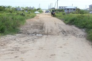 This is a roadway in the new scheme at Herstelling, East Bank Demerara. These two women could be seen manoeuvring around holes as they made their way home.
