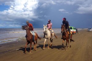 An afternoon of horseback riding along the 63 Beach in Berbice (Photo by Mariah Lall)