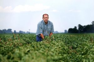 John Weiss looks over his crop of soybeans, which he had reported to the state board for showing signs of damage due to the drifting of pesticide Dicamba, at his farm in Dell, Arkansas, U.S. July 25, 2017. Picture taken July 25, 2017. REUTERS/Karen Pulfer Focht/File Photo
