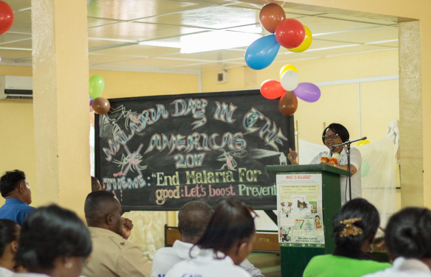 Minister of Public Health Volda Lawrence addressing the audience at the launch of ‘Malaria in the Americas in Lethem on Monday (MoPH photo)