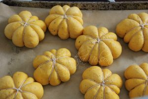 Pumpkin-shaped rolls risen and ready for baking  Photo by Cynthia Nelson
