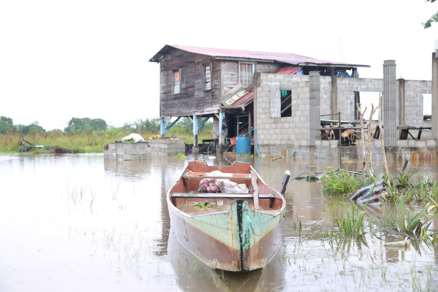 A boat in proximity to one of the flooded homes in the area on Friday (Keno George photo)