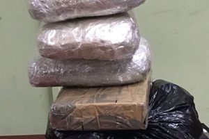 The suspected cocaine that was seized by CANU at Soesdyke on Friday 