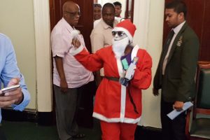 The woman in the Santa outfit, who disrupted a sitting of the National Assembly last month