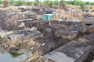 City Hall has engaged contractors to clean and clear the Le Repentir Cemetery at a cost of over $100 million. While the contract scope includes the removal of debris, there have been reports of grass being burnt rather than removed. In this Keno George photo, broken and cracked tombs can be seen surrounded by burnt and blackened grass.
