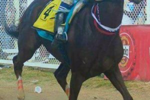 The Guyana Triple Crown Series starts on Sunday at the Rising Sun