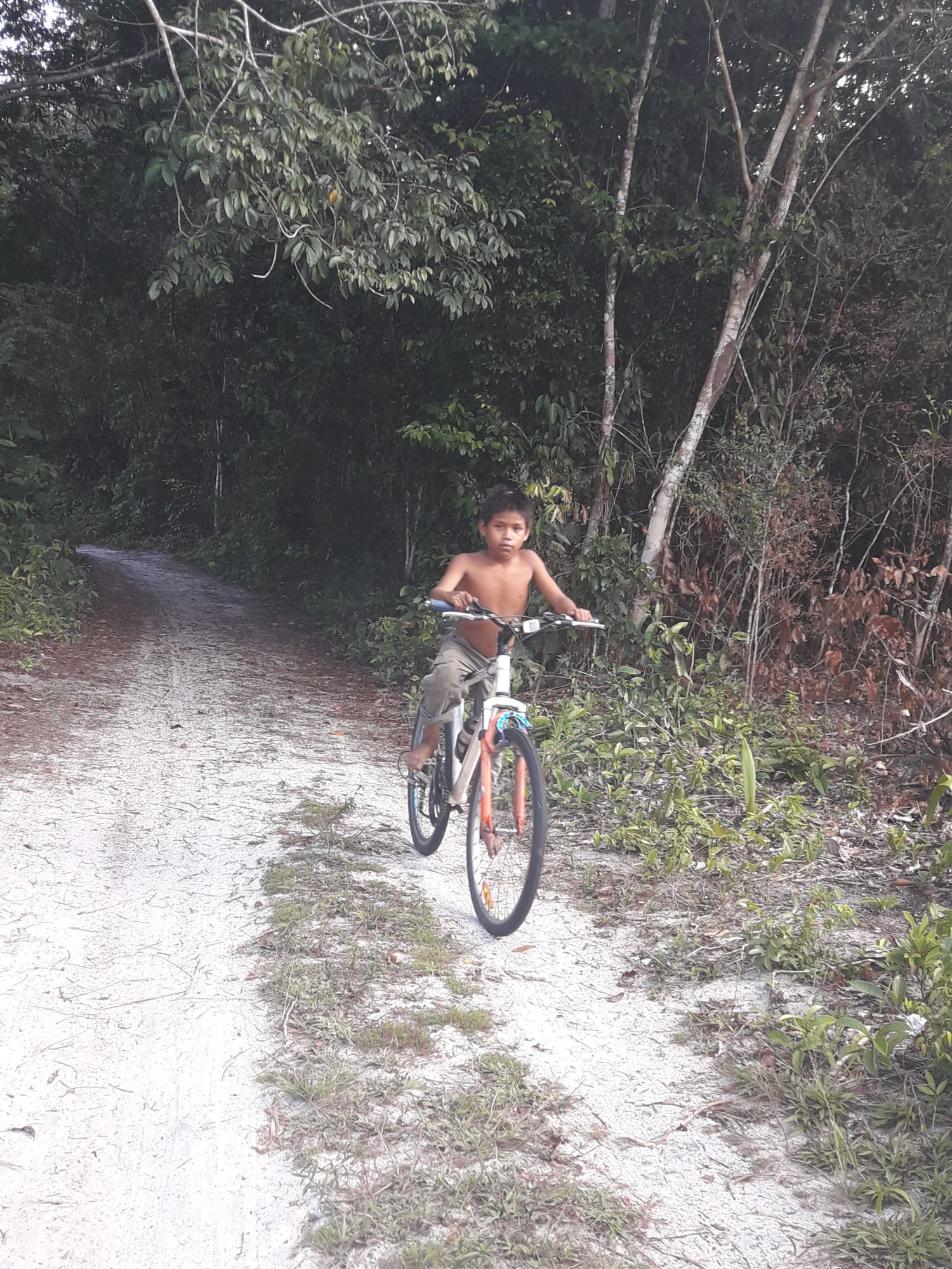 A young boy enjoying an afternoon ride (See story on 3B)
