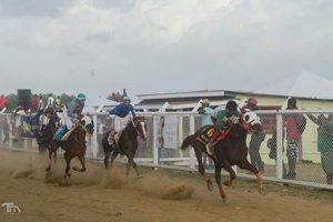 The inaugural Triple Crown Series runs off today from 13:00hrs at the Rising Sun Turf Club. In excess of 70 thoroughbreds will begin their journey in the historic series.
