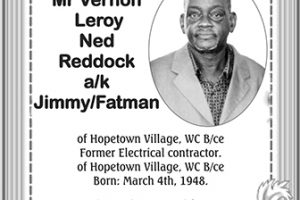 Mr Vernon Leroy Ned Reddock