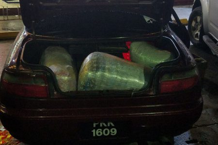 A quantity of the marijuana packed in the trunk of the motorcar, PKK 1609.
