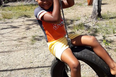 Faye Chance’s son Daniel enjoys a tyre swing in the backyard