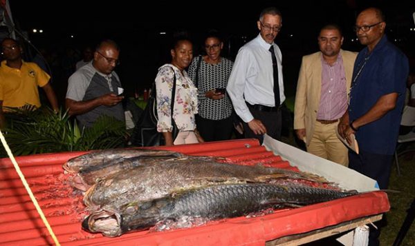 Minister of Business Dominic Gaskin viewing exhibits at last weekend’s Essequibo fair