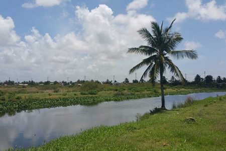 A section of the 4.7 acres of land, lettered RU and XXX, at Plantation Liliendaal, East Coast Demerara, which was sold to Rusal a decade ago.
